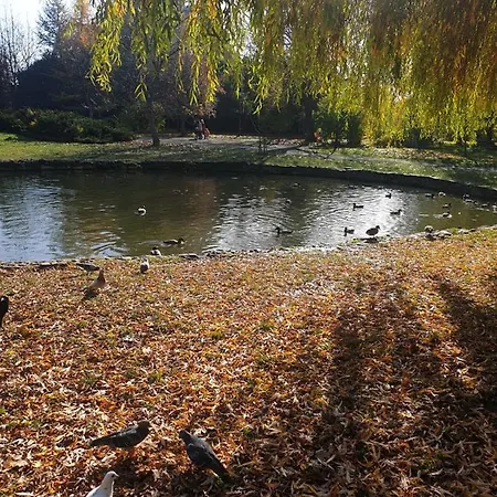 Lejlighed New 1 Lviv