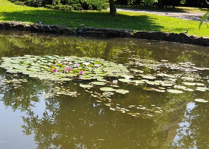 New 1 Apartamento Lviv