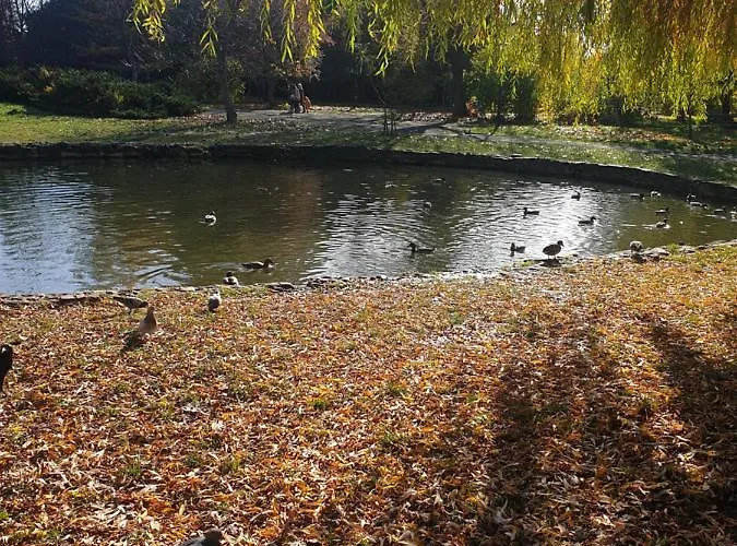 Διαμέρισμα New 1 Λβιβ